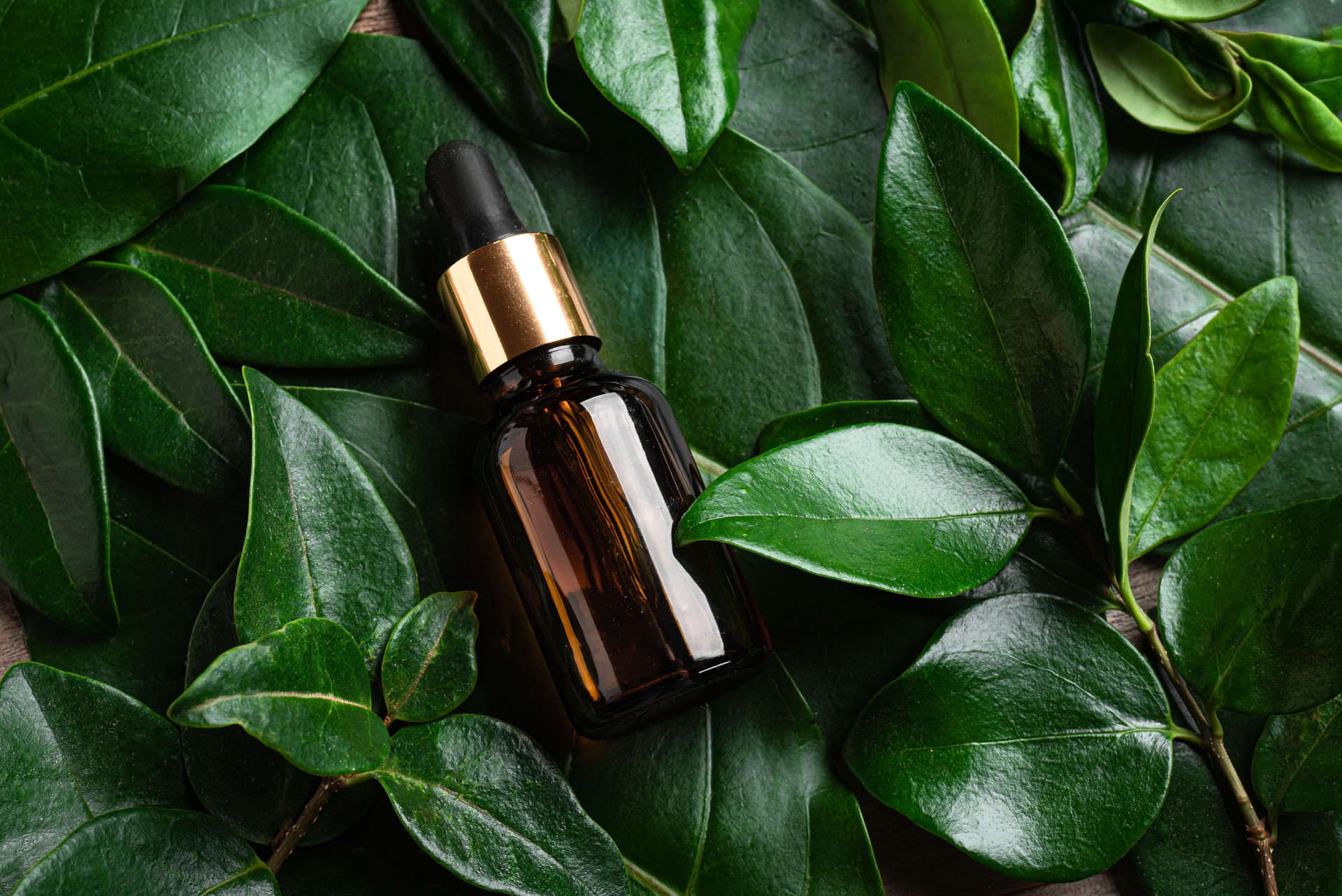 Bottle of face serum on green plant leaves